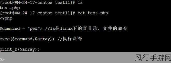 探究 PHP exec 函数能否带参数执行