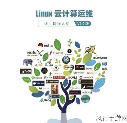 掌握 Linux PHP 安装中的数据库配置秘籍