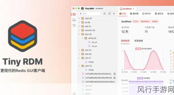 探索 Redis GUI 的性能表现