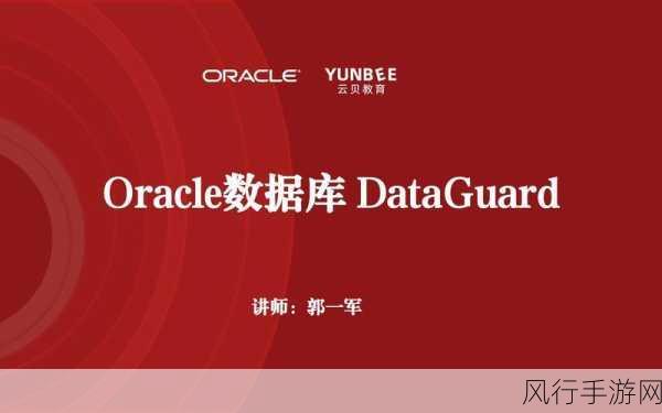 深入探索 Oracle 数据库中 DISTINCT 的多样应用场景