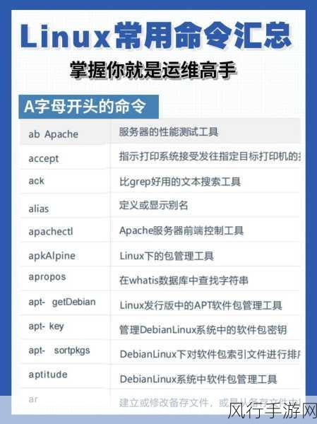 深入探索 Linux CMD 命令与系统安全的紧密关联