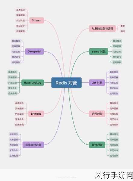 探索 Redis 的丰富数据类型世界