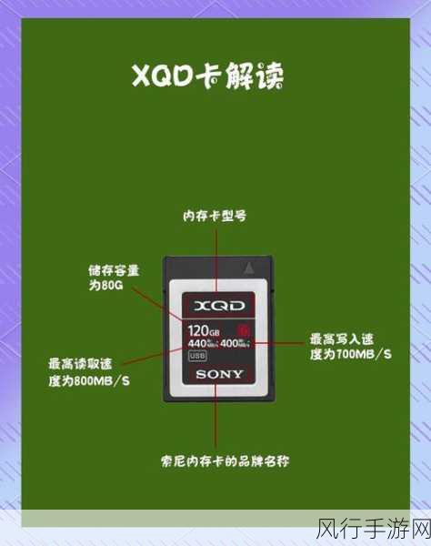 解决 SD 卡变为 RAW 格式的实用指南