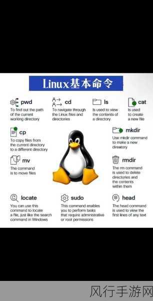 掌握 Linux 结束命令的高效技巧