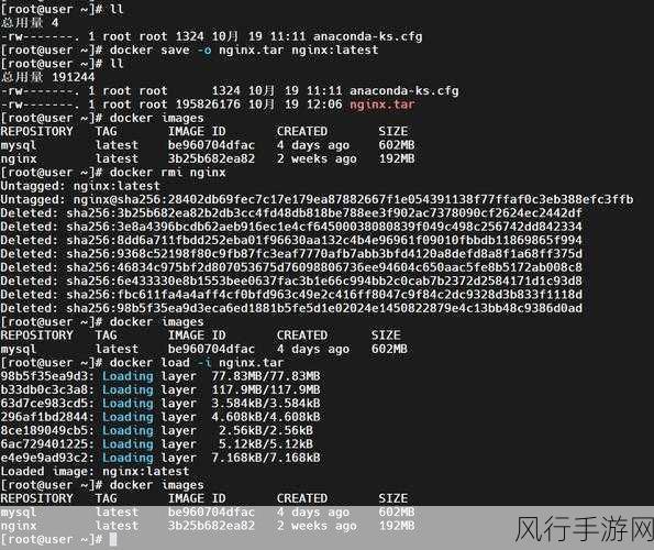 探索 Docker 与 Python 测试的奇妙之旅