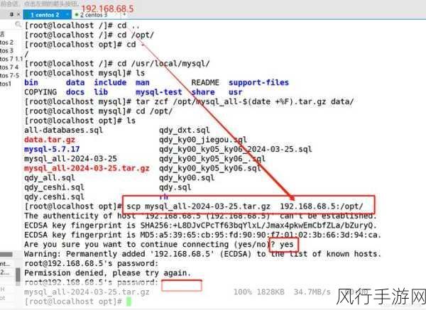 掌握 Oracle 数据库备份的关键技巧