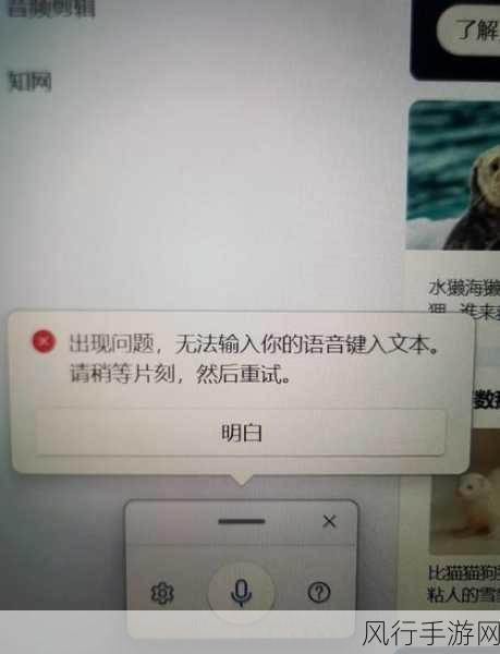 Win11 更新后卡顿？别急，这些方法来帮你