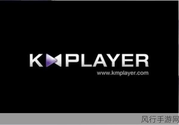 掌握 KMPlayer 逐帧播放技巧，尽享视频细节之美