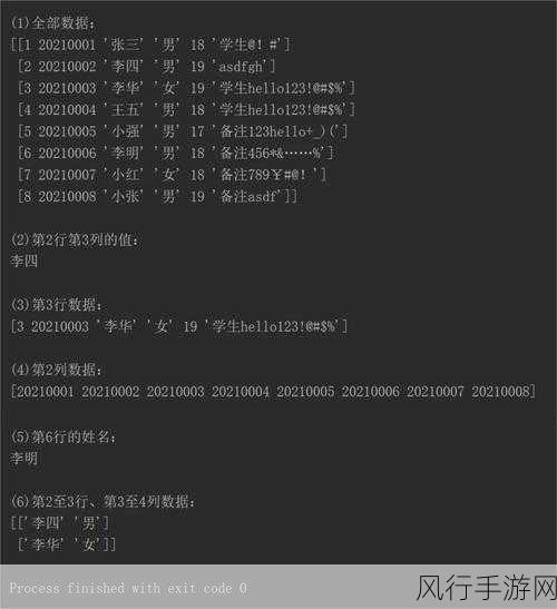 探索 Python 文件运行中的输入输出多样性