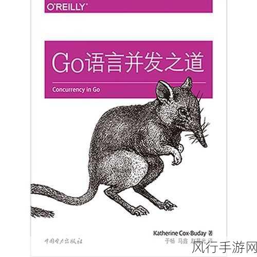 探索 Go 语言并发安全的精妙设计之道