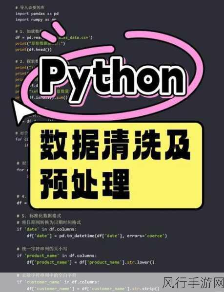 Python 数据清洗中的隐私守护之道