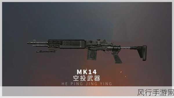 地铁逃生，MK14枪械性能深度剖析与卓越之选