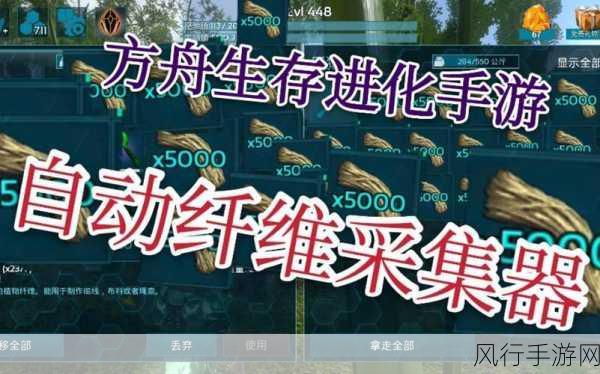 方舟生存进化，纤维获取策略与财经数据分析