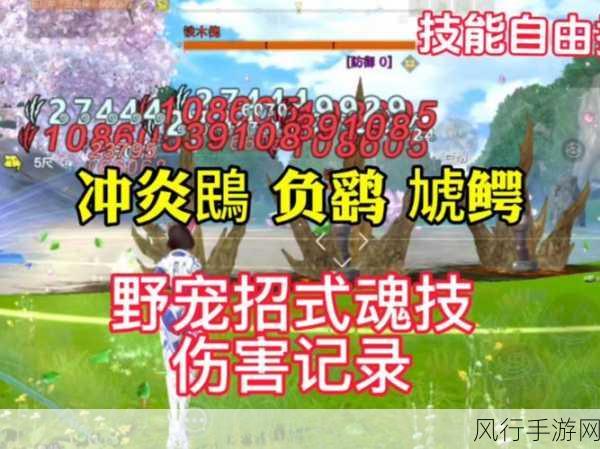 妄想山海鹞彩石，珍稀道具的获取与使用深度剖析