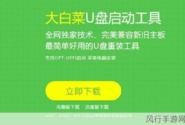 大白菜U盘装系统，手游公司高效运维的秘诀