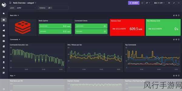 探索 Redis Database 参数监控的有效途径