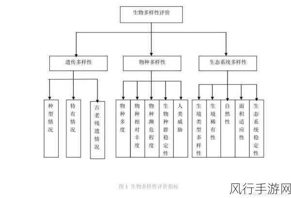 探究 C HPSocket 与安全性的紧密关联