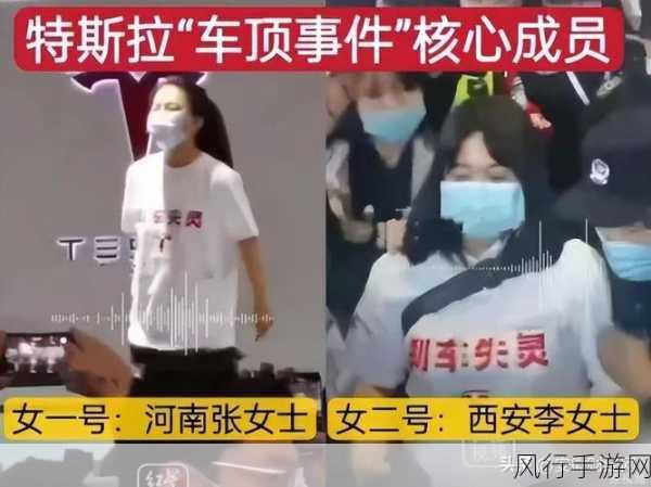 特斯拉维权反击战，汽车大V侵权败诉启示录