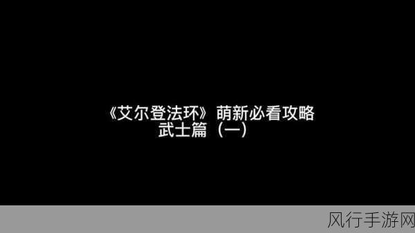 艾尔登法环200级武士加点策略，手游公司深度解析