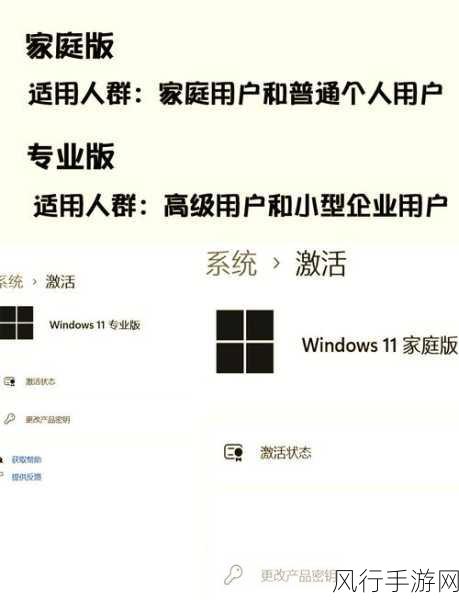 Win10 专业版与家庭版，深度剖析其差异