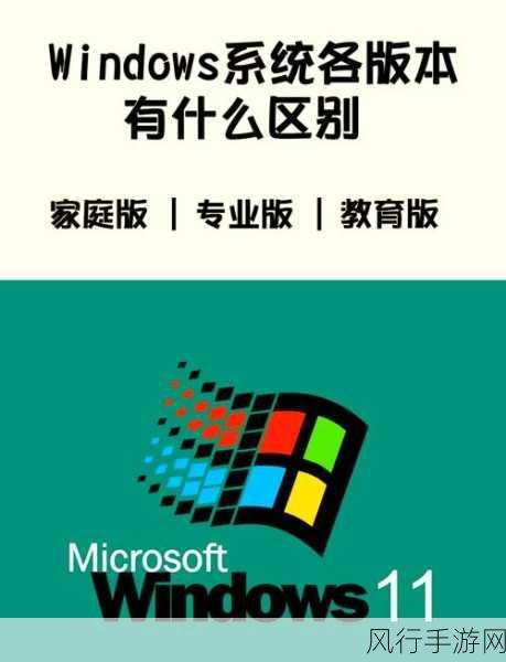 Win10 专业版与家庭版，深度剖析其差异