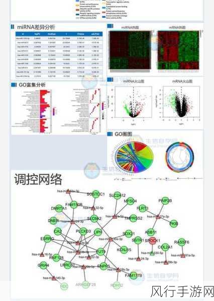 探索 Perl 数据库查询的奥秘