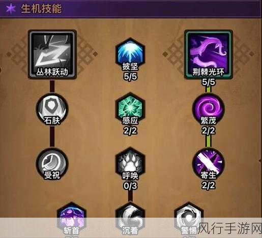 DOTA自走棋，深度解析德鲁伊的针对与反针对策略