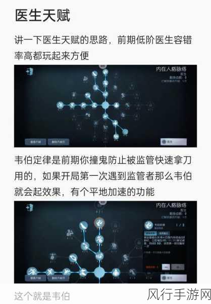 第五人格冒险家天赋加点策略，手游市场深度剖析