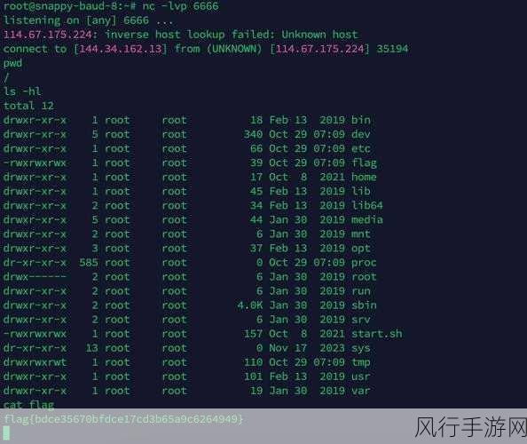 探究 PHP set 在处理数据库结果中的表现