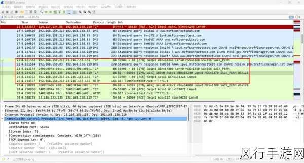 深入探索 Wireshark 流量统计的奥秘