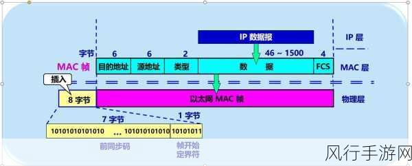 深入探索 Wireshark 流量统计的奥秘