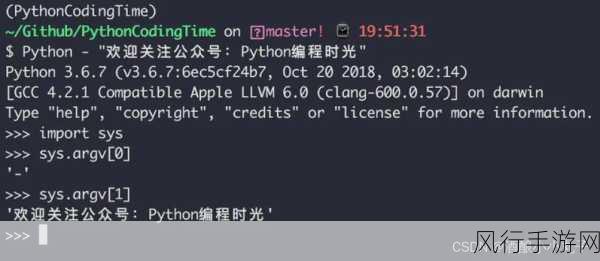 掌握 Python 脚本命令运行的关键技巧