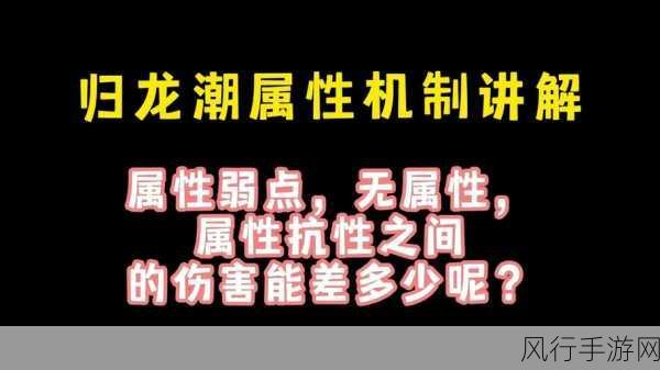 归龙潮缠缠潮品经济效应深度剖析与选择策略