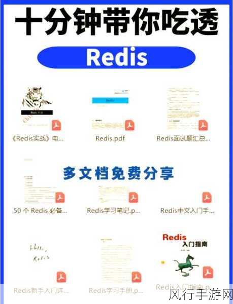 深度剖析 Redis Hincrby 的性能表现