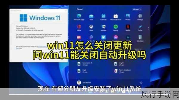 解决 Win11 更新设置按钮无法点开的困扰