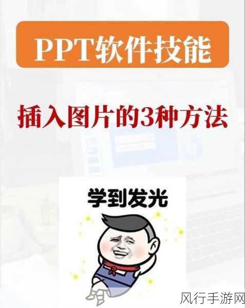 轻松掌握 PPT 幻灯片应用主题的设置秘籍