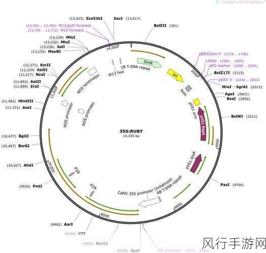 Ruby 字符串处理效率的深度剖析