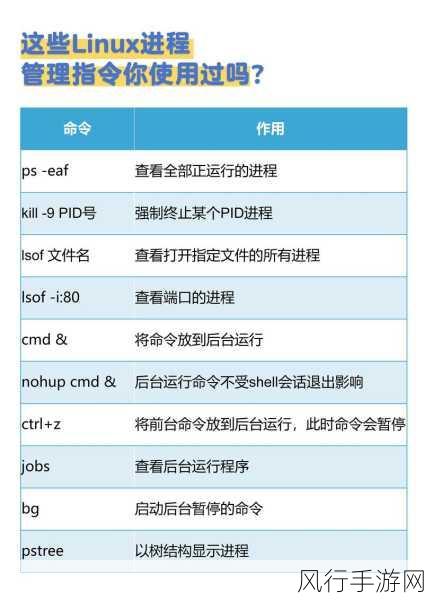 探索 Linux 下 Ansible 的高效管理之道