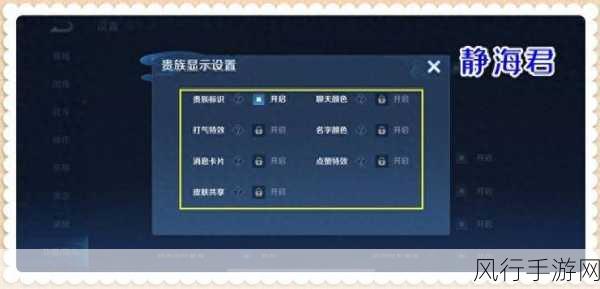 王者荣耀隐身功能背后的经济考量与设置指南