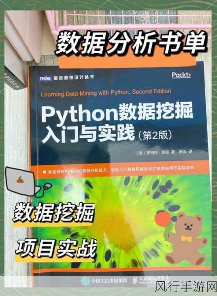 Python 数据挖掘，效率提升的强大引擎