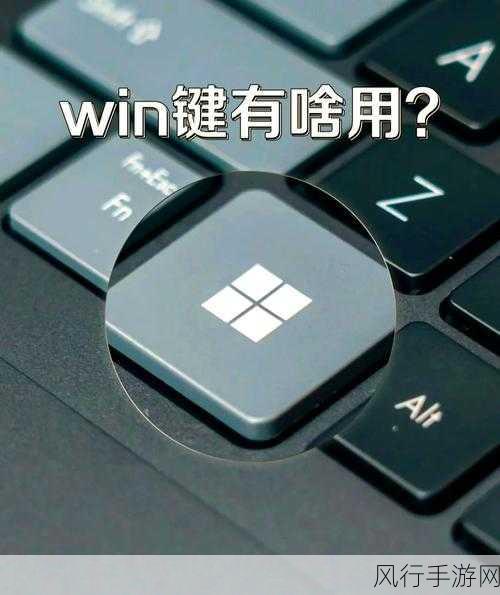 轻松掌握，Win11 护眼模式开启秘籍