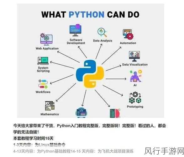 探索 Python 命令行传参的多样应用场景