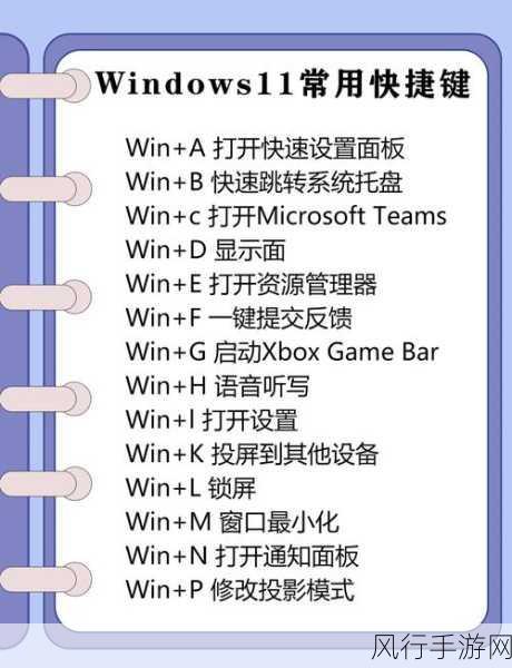 轻松掌握，Win11 查找所有视频文件的高效方法