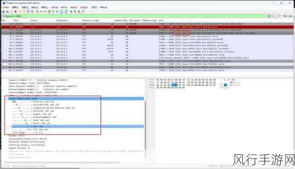 深入探究 Wireshark 分析，解读数据包内容的关键技巧