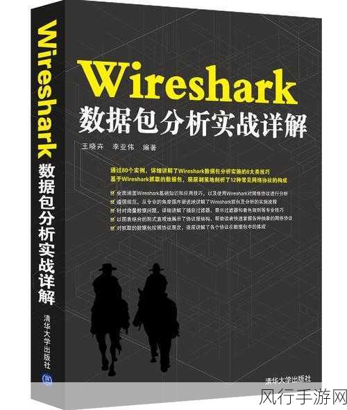 深入探究 Wireshark 分析，解读数据包内容的关键技巧