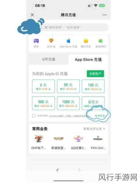 王者荣耀iOS充值难题解析，公司如何应对与策略