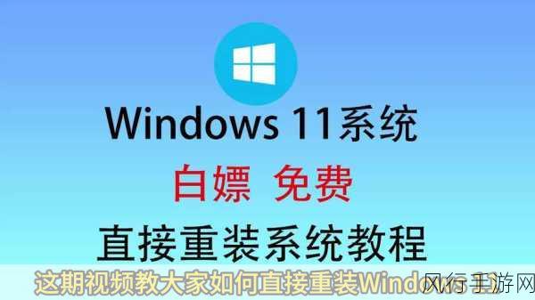 Win11 电脑下载速度提升秘籍