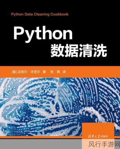 探索 Python 数据清洗在大规模数据处理中的能力