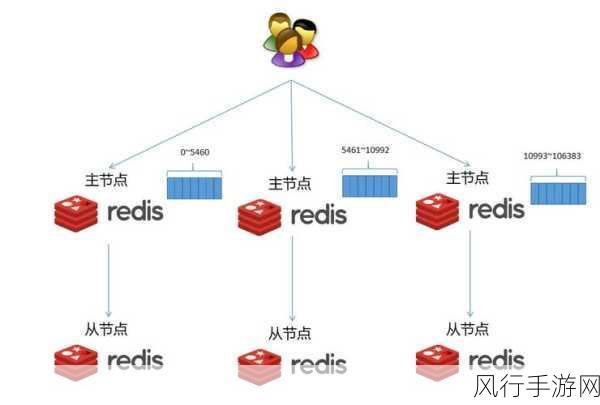 探索 Redis Set 数据类型的独特魅力与优势