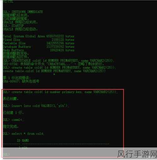 深入探究，Oracle 数据库中 VARCHAR 授权的技巧与要点